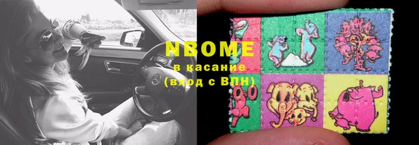 молекула духа Вяземский