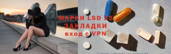 ПСИЛОЦИБИНОВЫЕ ГРИБЫ Горняк