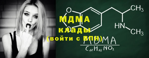 молекула духа Вяземский