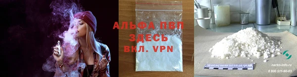 ПСИЛОЦИБИНОВЫЕ ГРИБЫ Горняк