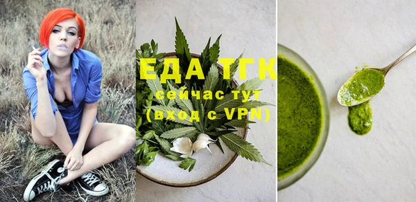 молекула духа Вяземский