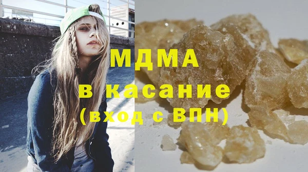 молекула духа Вяземский