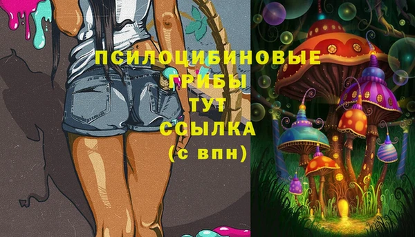 дмт Вязники