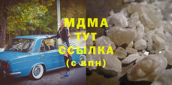 молекула духа Вяземский