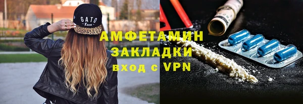 молекула духа Вяземский