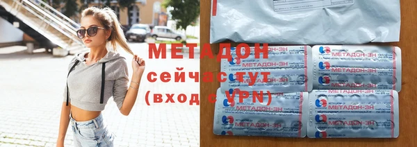 молекула духа Вяземский