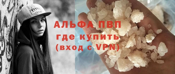 молекула духа Вяземский