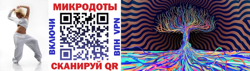 Псилоцибиновые грибы мухоморы  OMG зеркало  Дмитриев  цена наркотик 