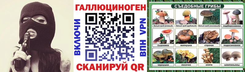 Псилоцибиновые грибы Cubensis Дмитриев